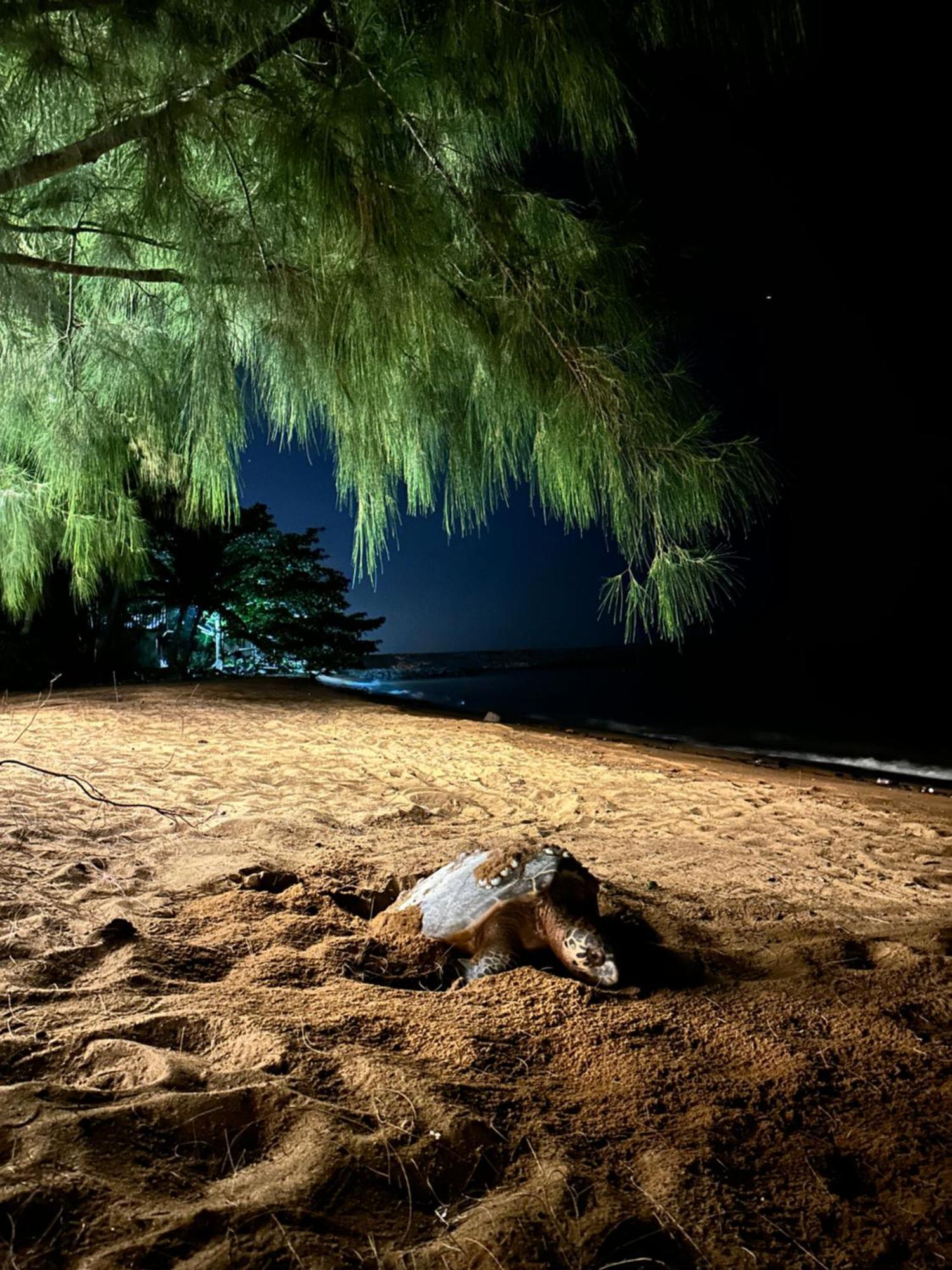 Beach N Breeze Glamping Malacca エクステリア 写真
